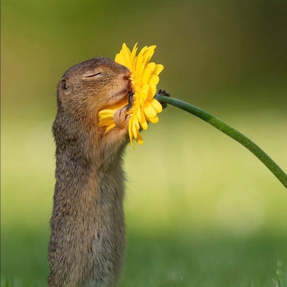 Meet your Posher, Tammy - Picture 1 of 1